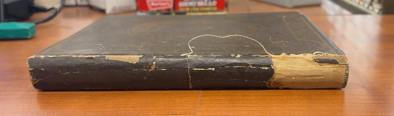 C017 Spine