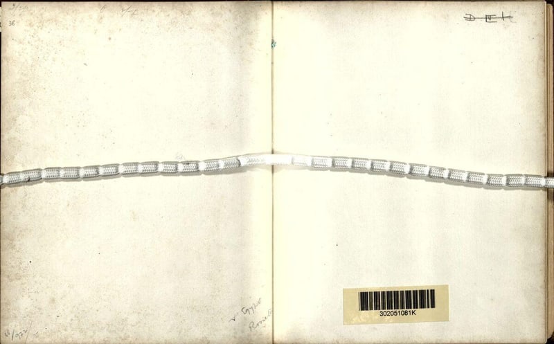 C029 Annotations