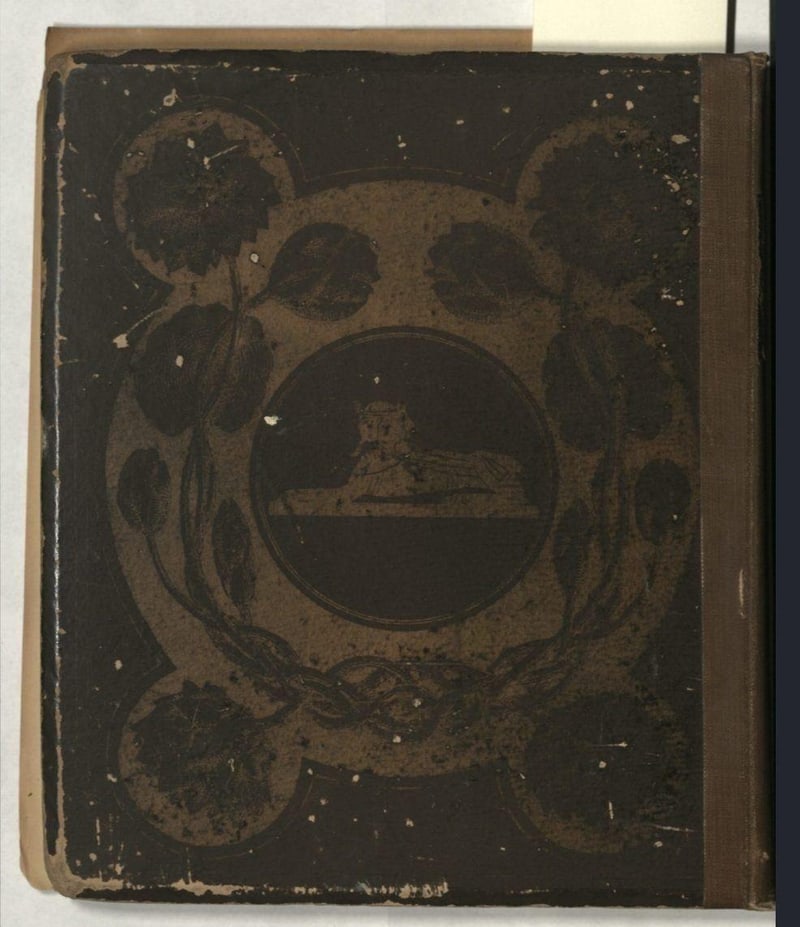 C030 Brown publisher-issued rear board
